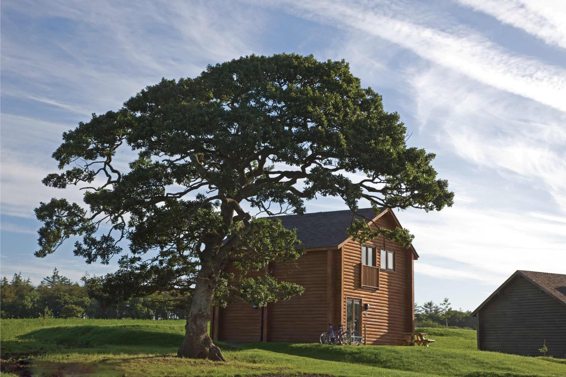 Lodge Exterior