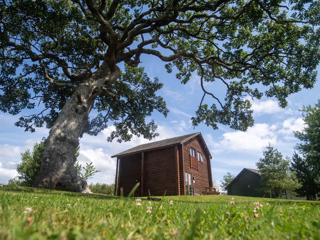 Ramsey Lodge With Large Tree