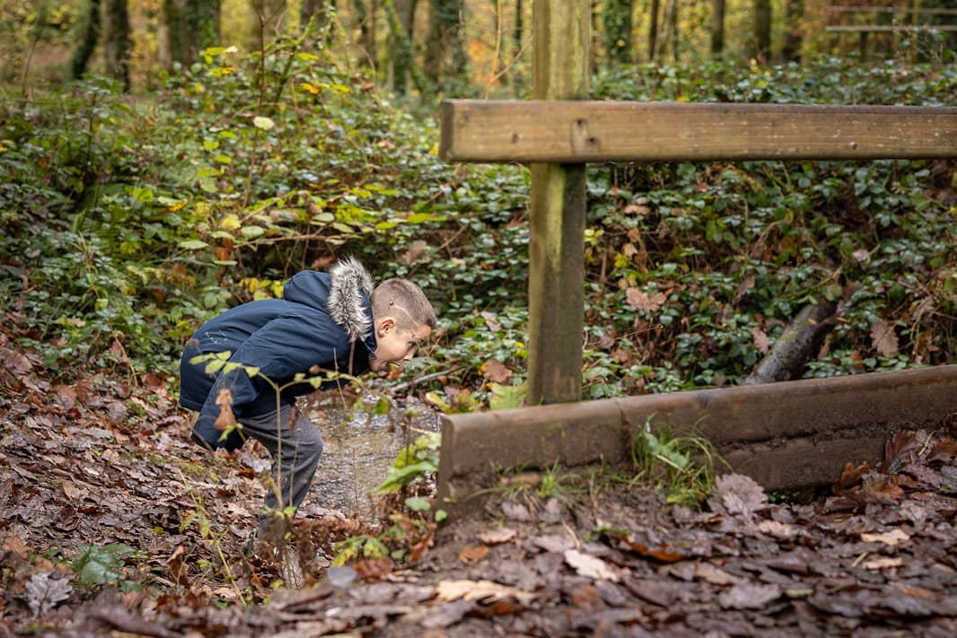 Boy Looking On Nature Trail