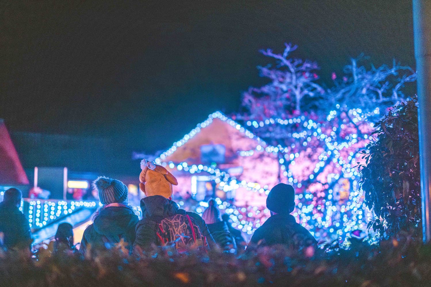 Wish Tree People Gathering Outside