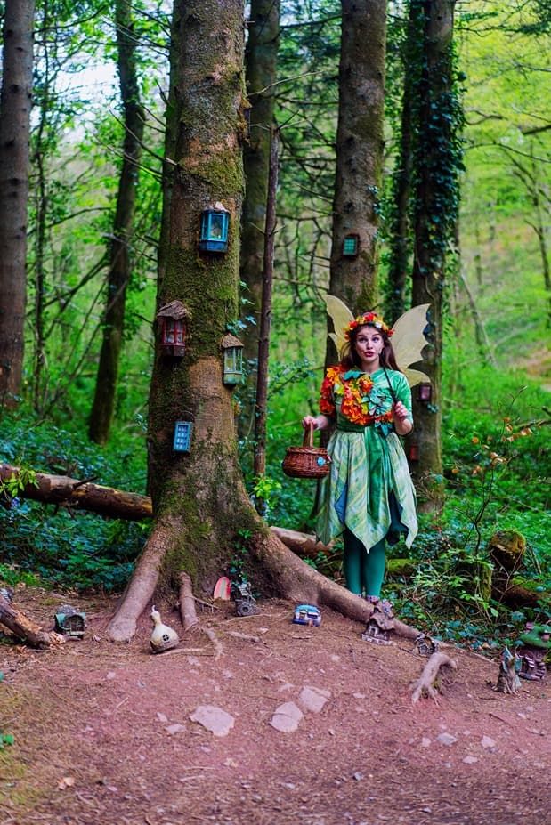 Fairy Houses