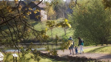 Bluestone Lake Family