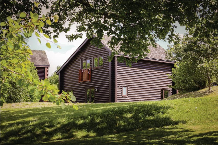 Lodge Exterior Through The Trees