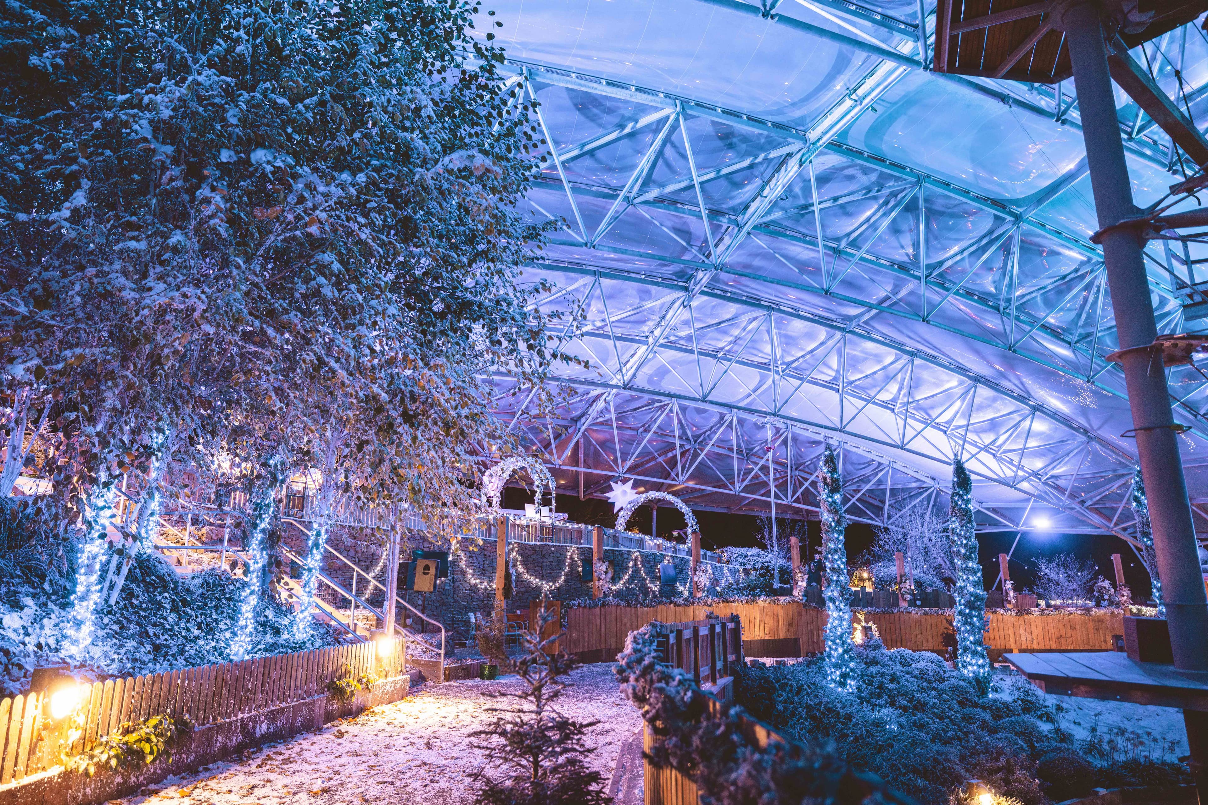 Bluestone Serendome at Christmas