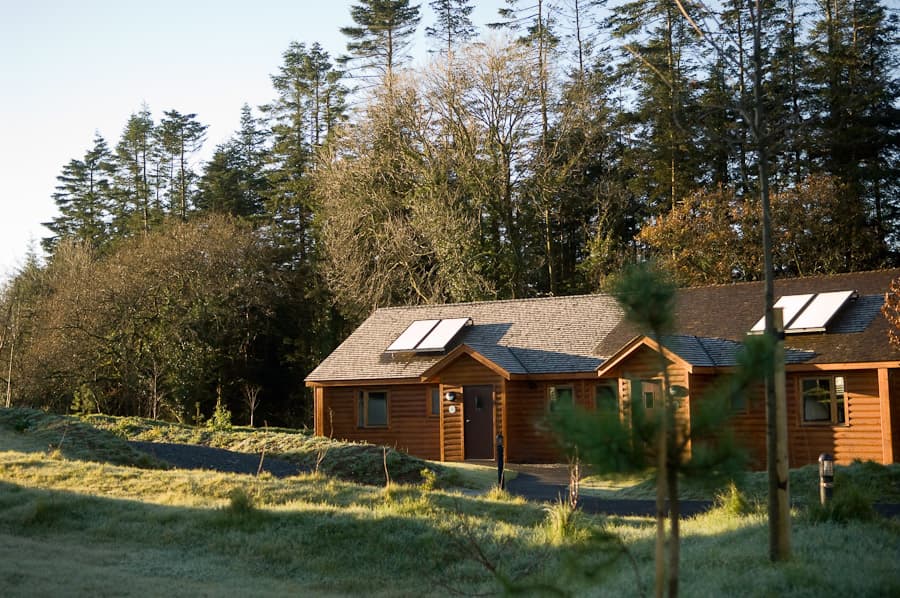 Caldey External with Trees