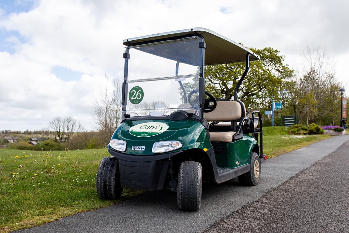Buggy Near Pentre Ifan