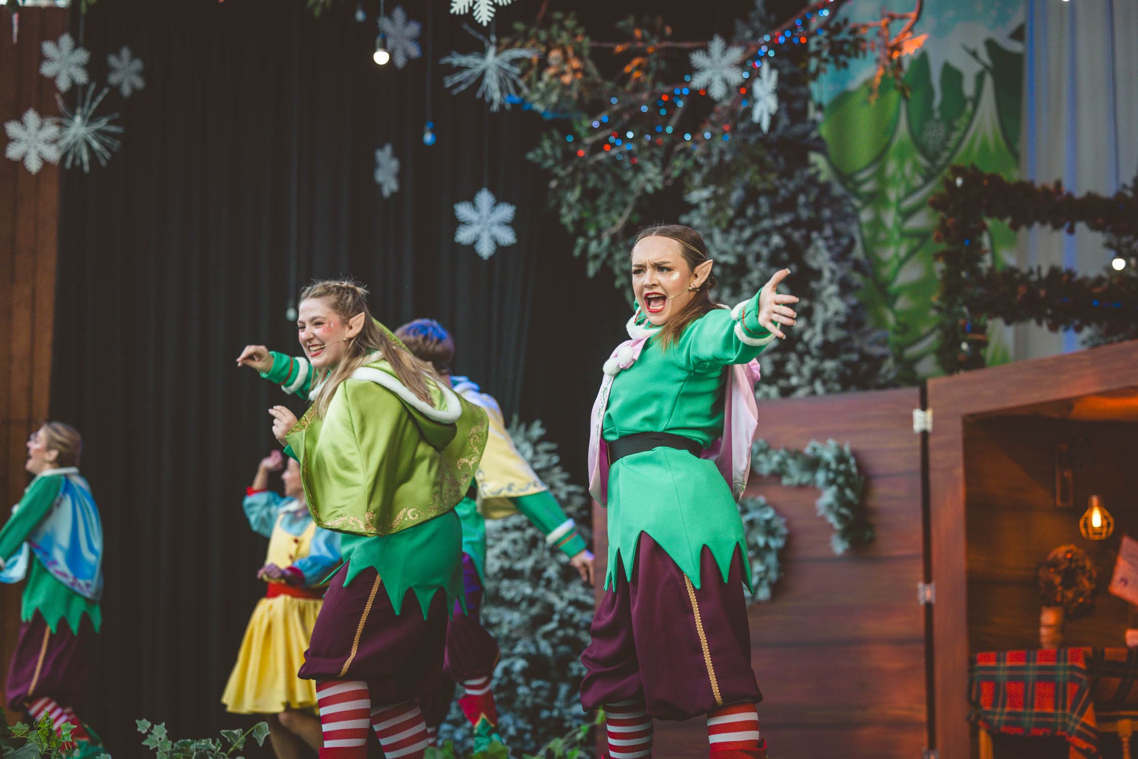 Elves Christmas Show Bluestone