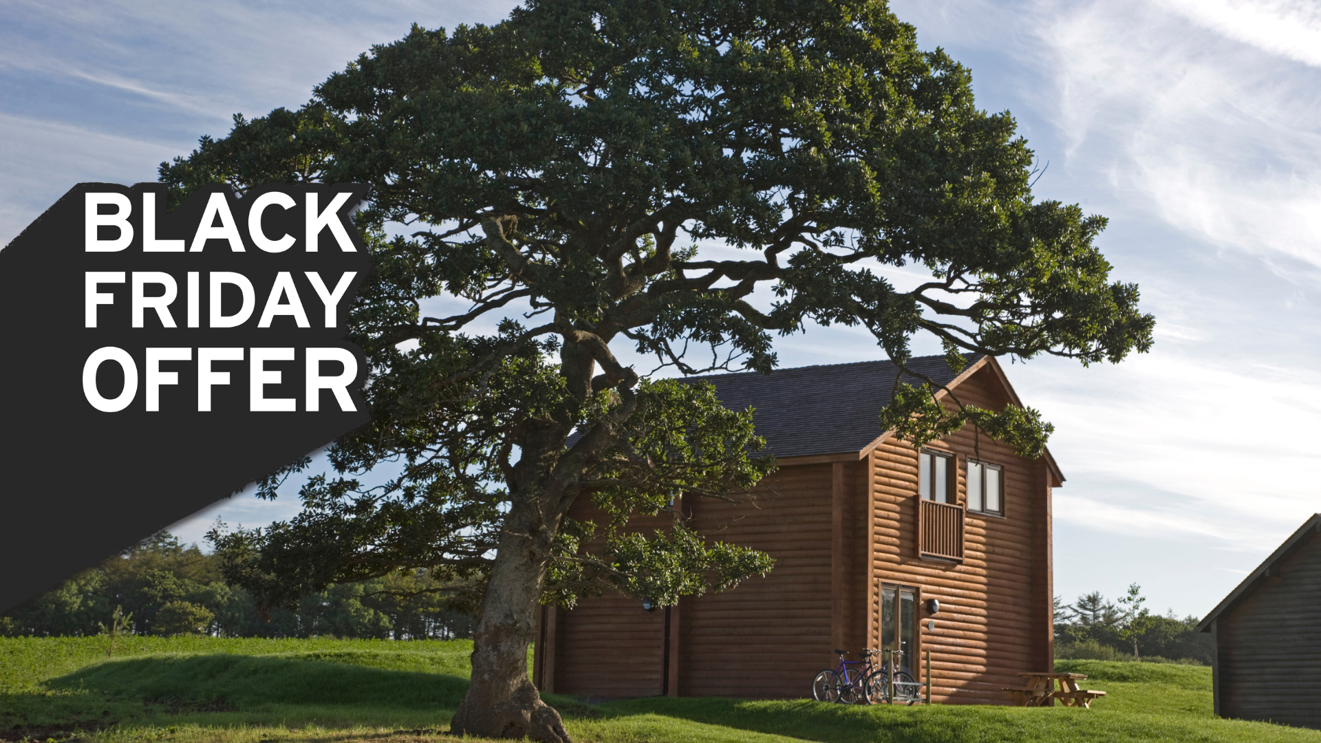 Bluestone Black Friday