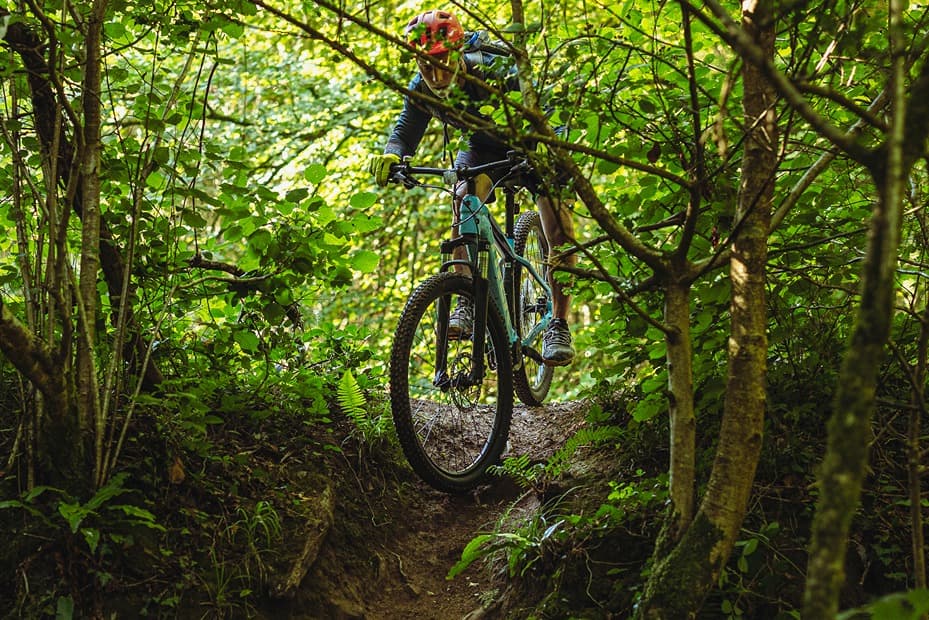 Electric Mountain Bike Under Branch