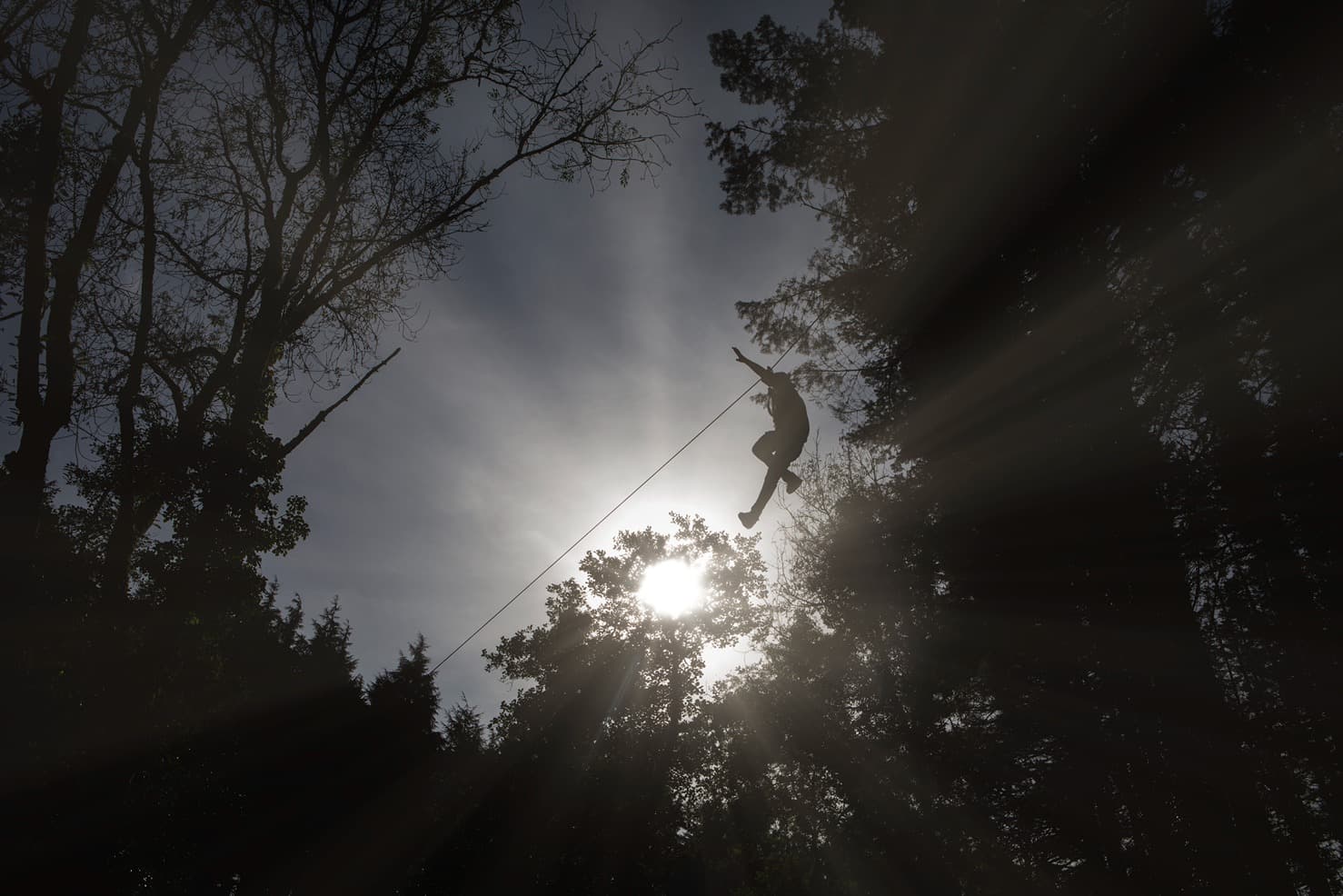 Sky Wires Sun