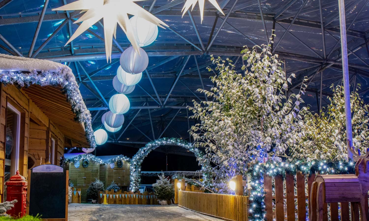 Serendome Christmas Bluestone