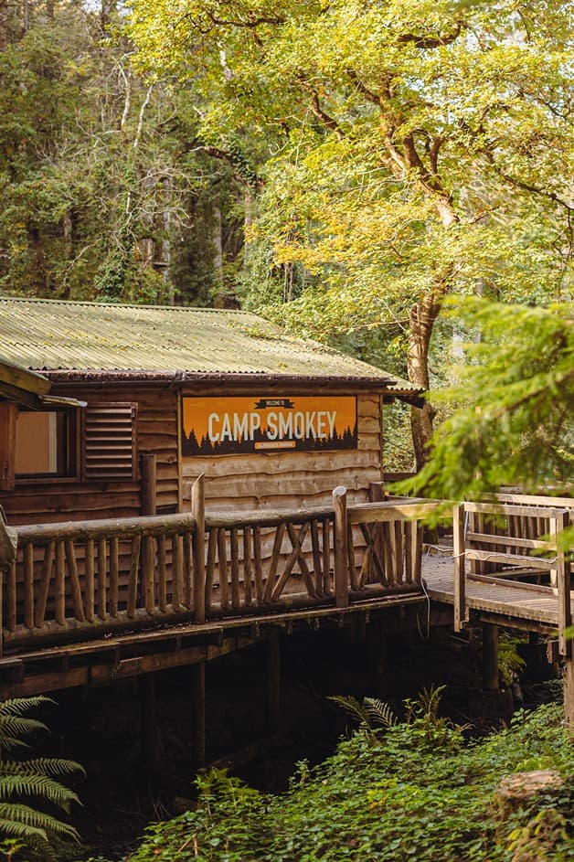 Camp Smokey Green Trees