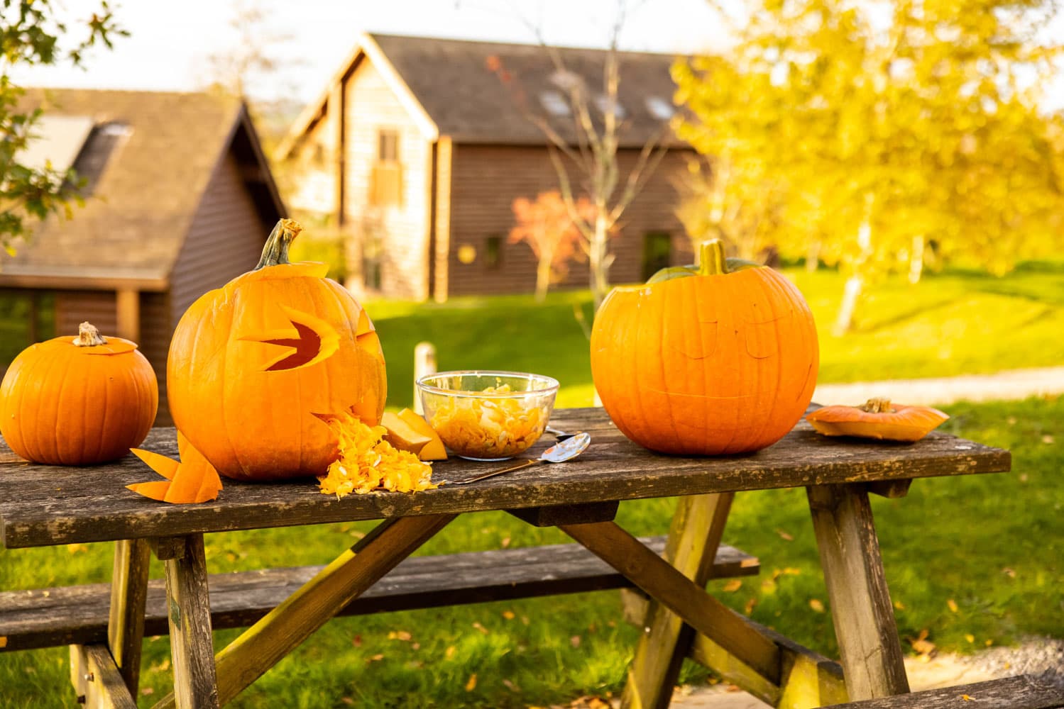 Pumpkin Carving outside lodge Bluestone