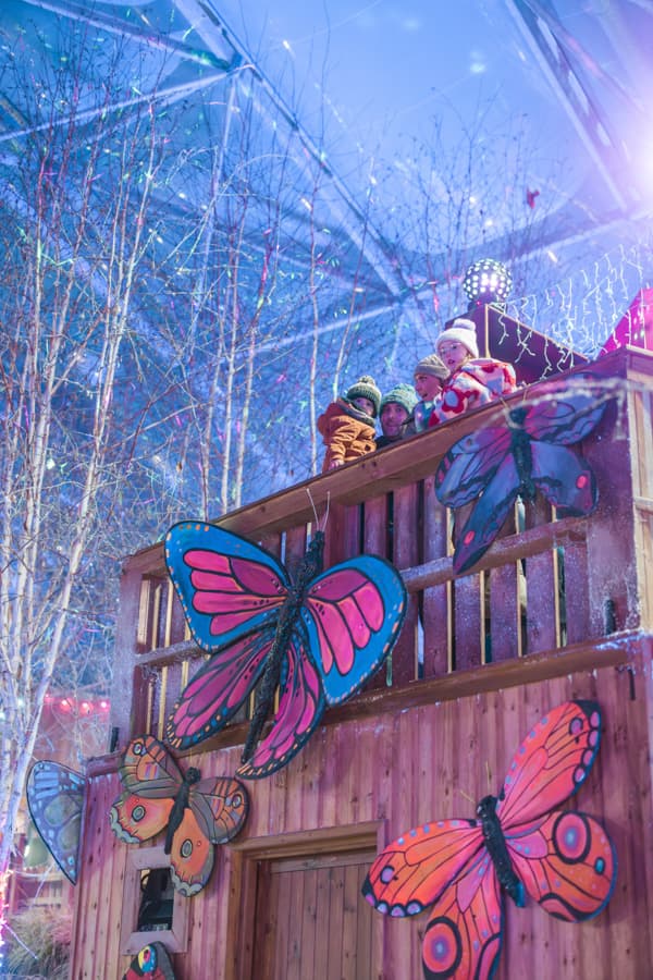 Winter Lights Serendome Butterflies Bluestone