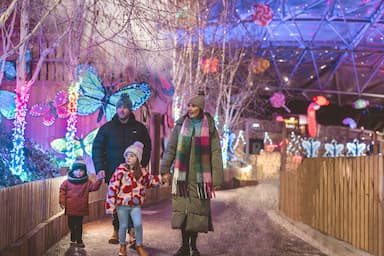 Winter Lights Trail Walking Family