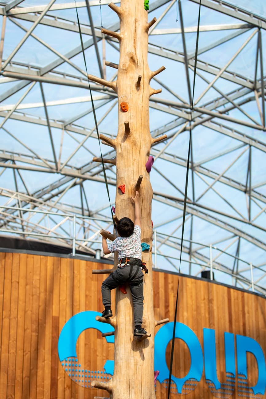 Star Catcher, Inside Serendome