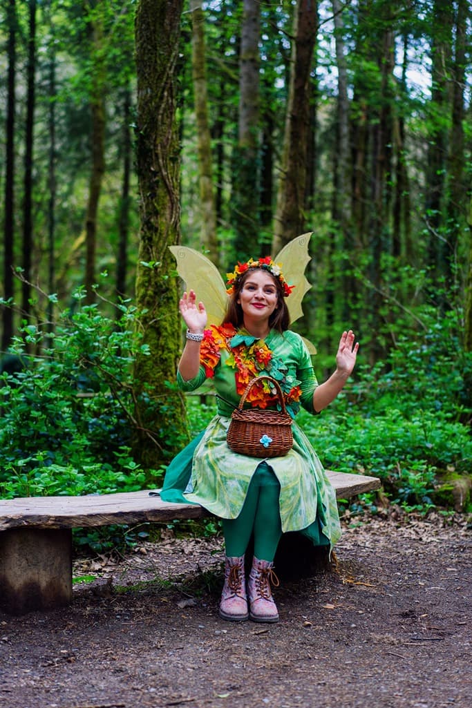 Secret Village Fairy