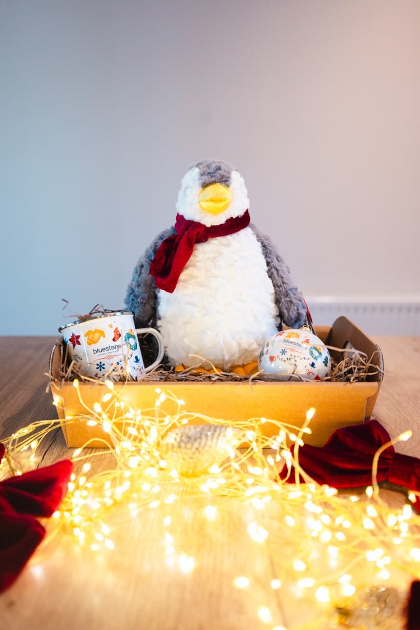 Christmas Hamper With A Penguin