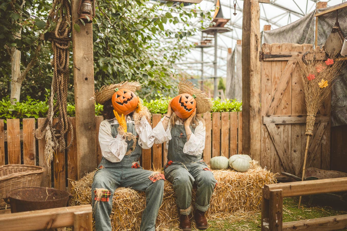Entertainers with pumpkins Serendome Bluestone