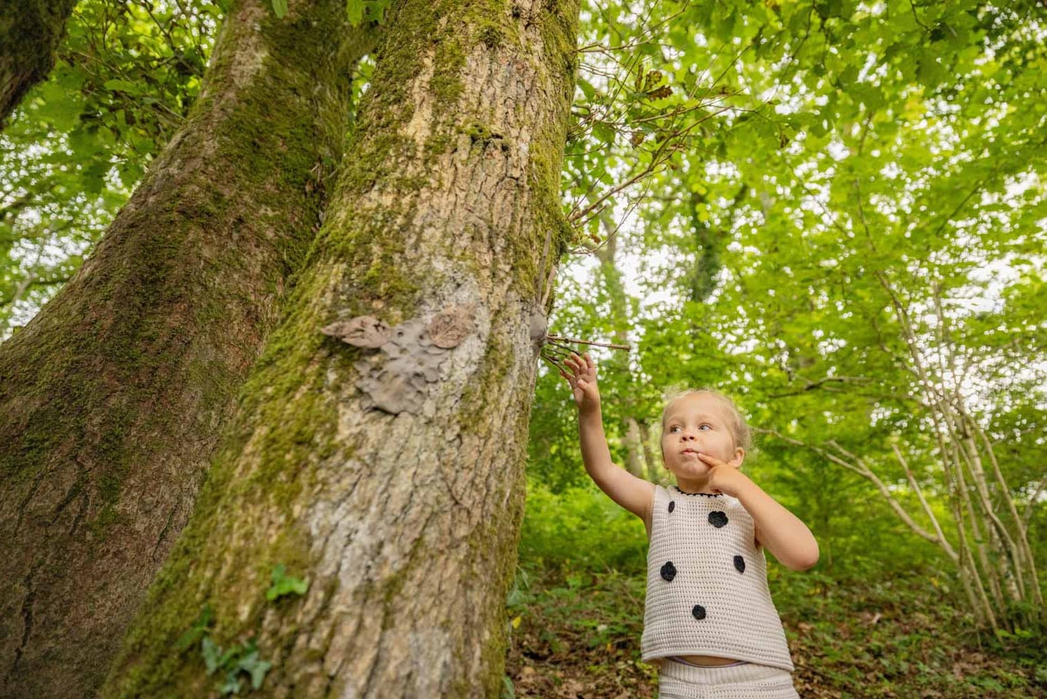 Girl on Nature Trail Summer Bluestone