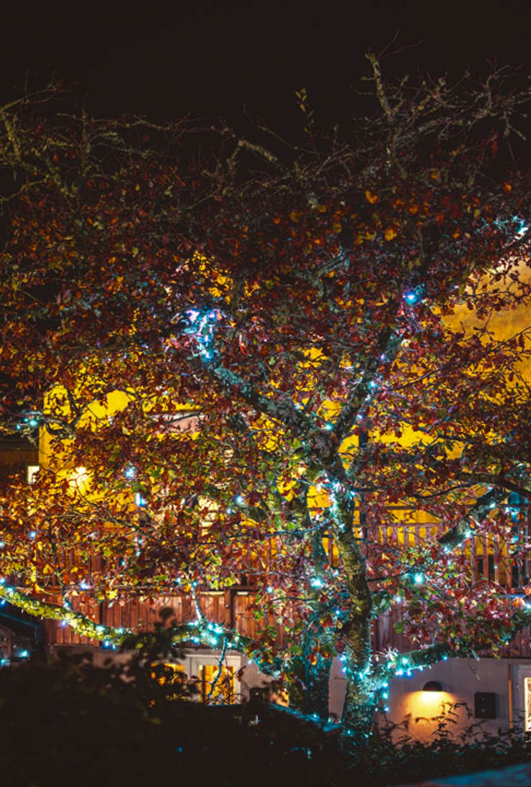 Wishtree Lightshow Mobile