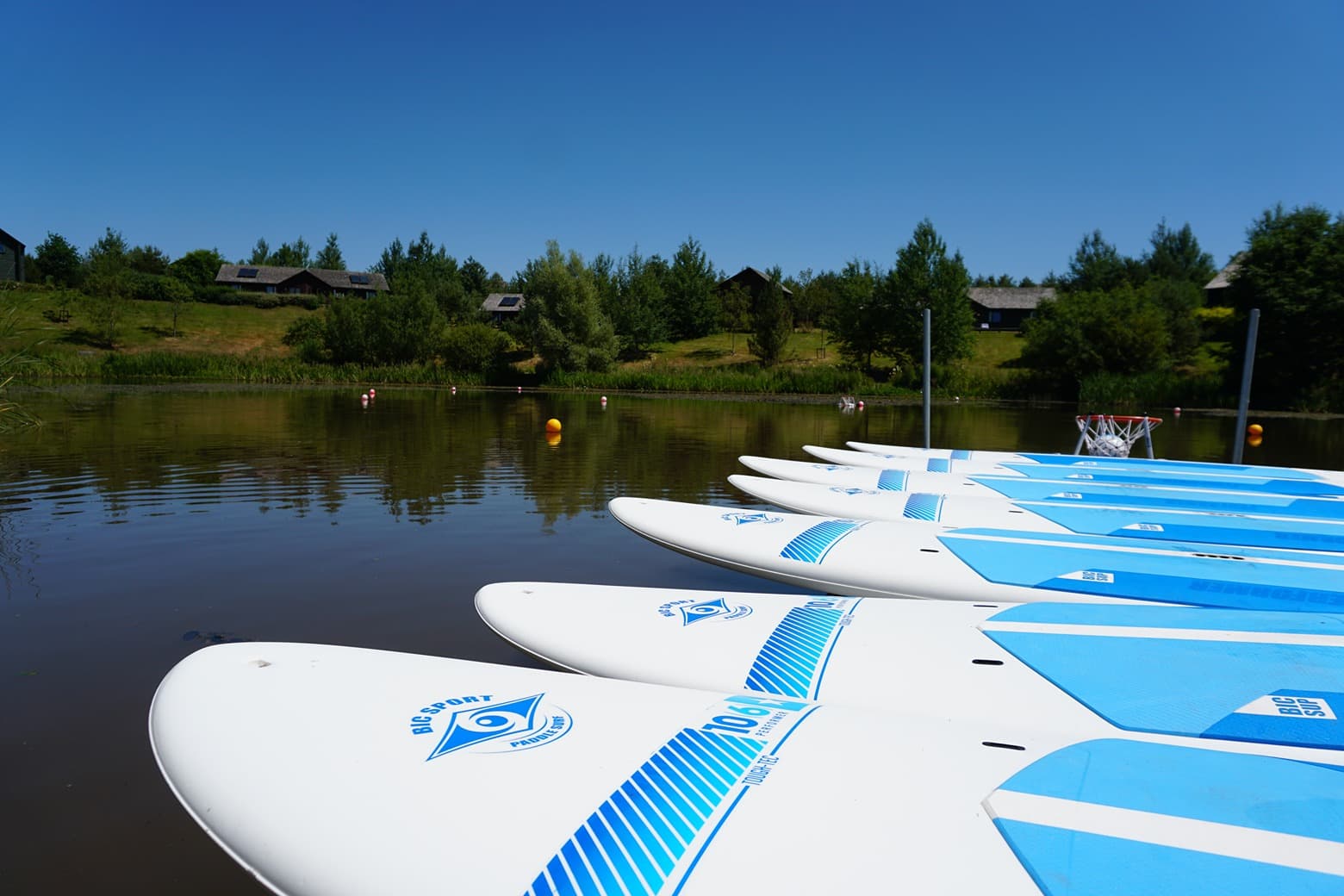 Paddleboards lined up