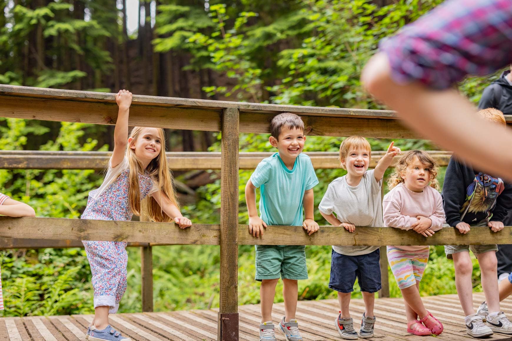 Children On The Bridge Over The Stream