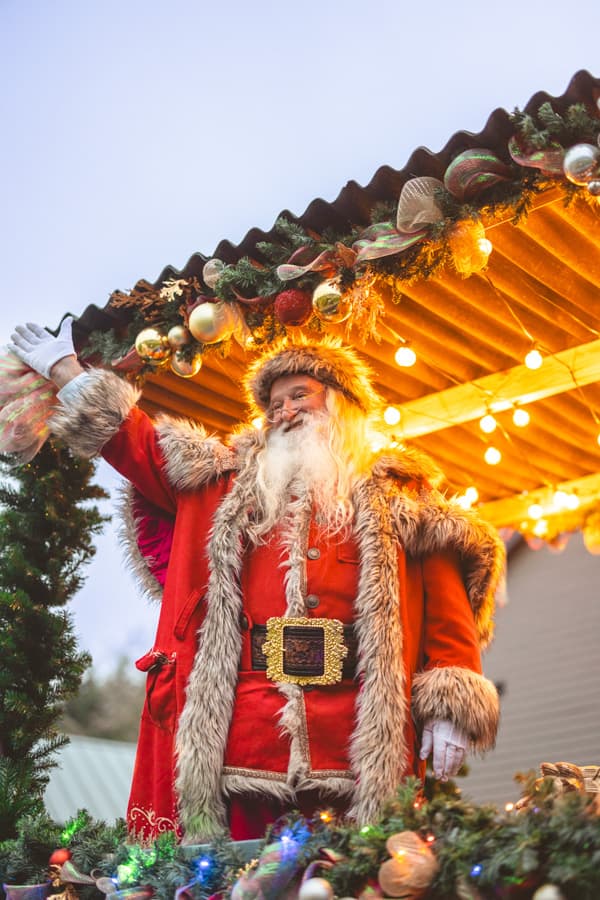 Santa Polar Postal