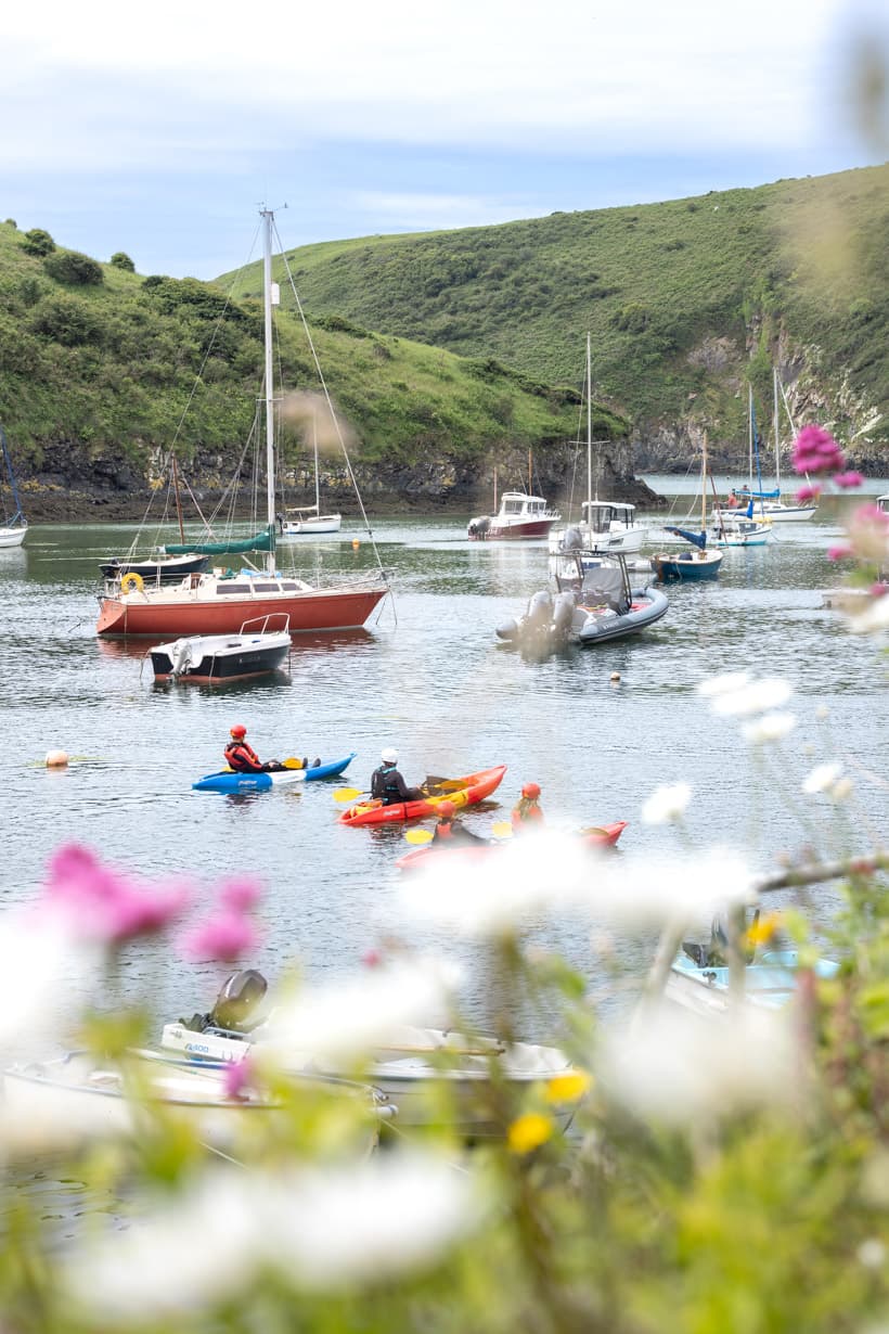 Adventure kayaking Bay