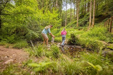 Nature Trails Family Bluestone