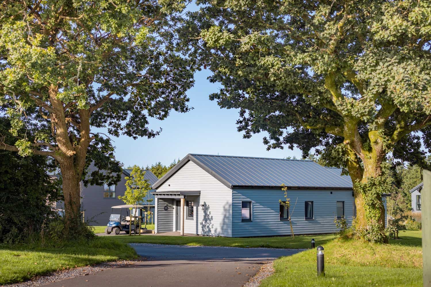 Sunny External Lodge Trees Bluestone