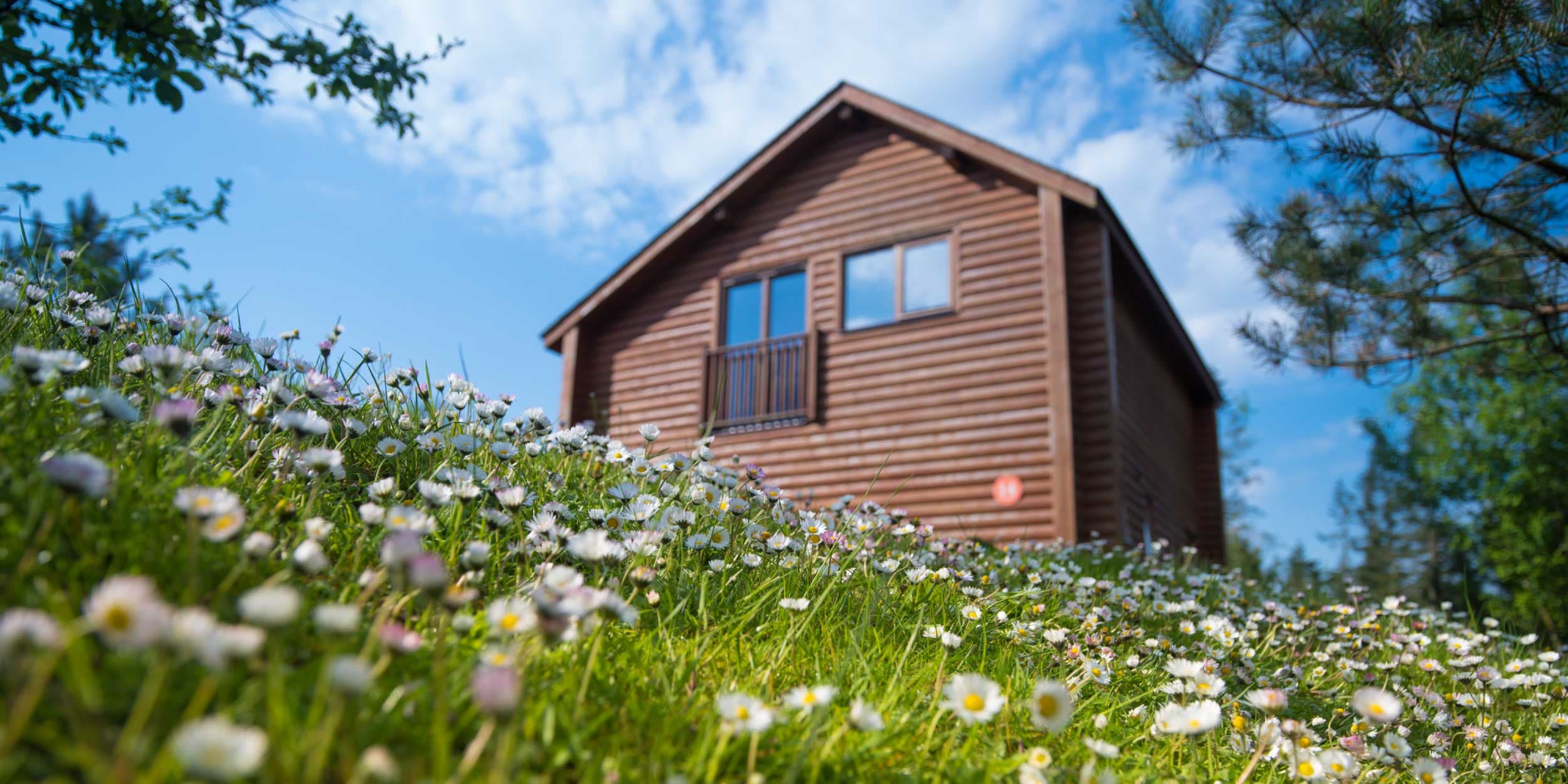 Lodge with flowers
