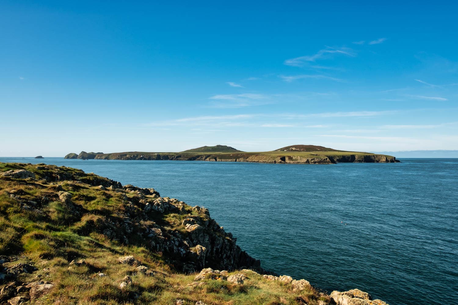 Ramsey Island Pembrokeshire Bluestone
