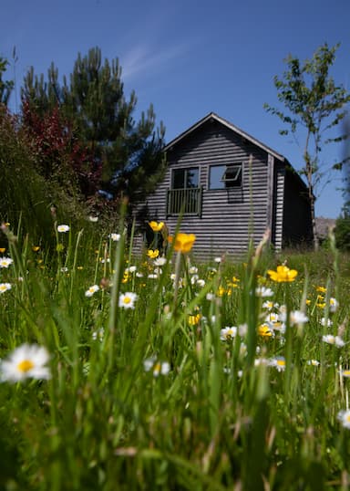 External Lodge Spring Flowers Bluestone