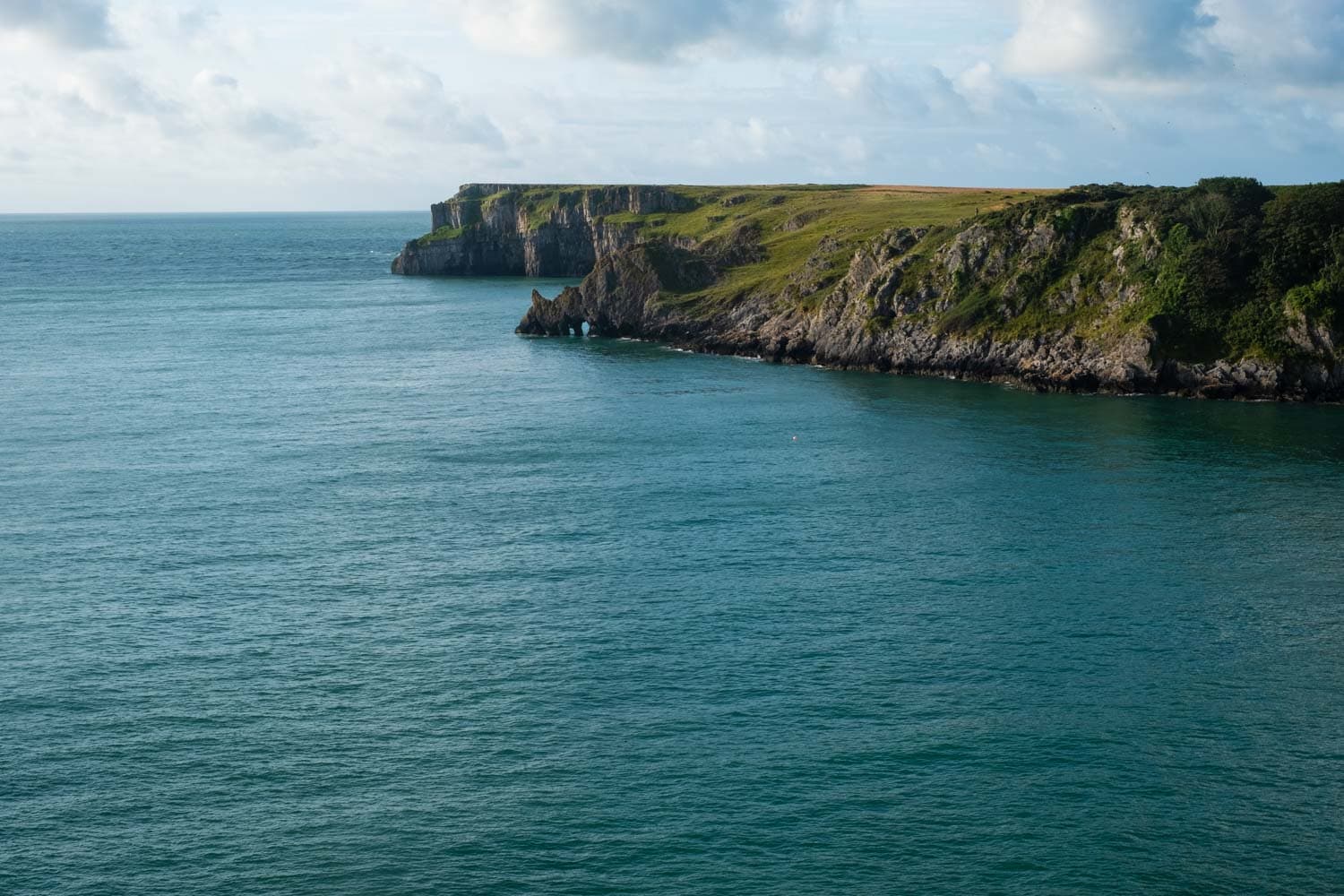 Pembrokeshire Coast Bluestone