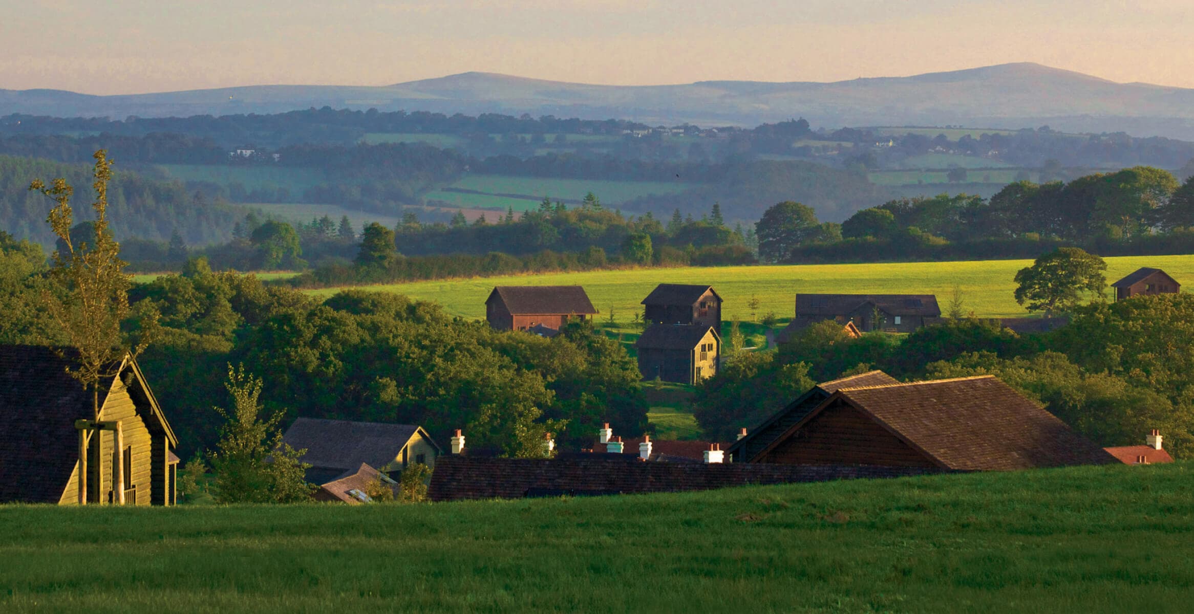 landscape of houses in a green land