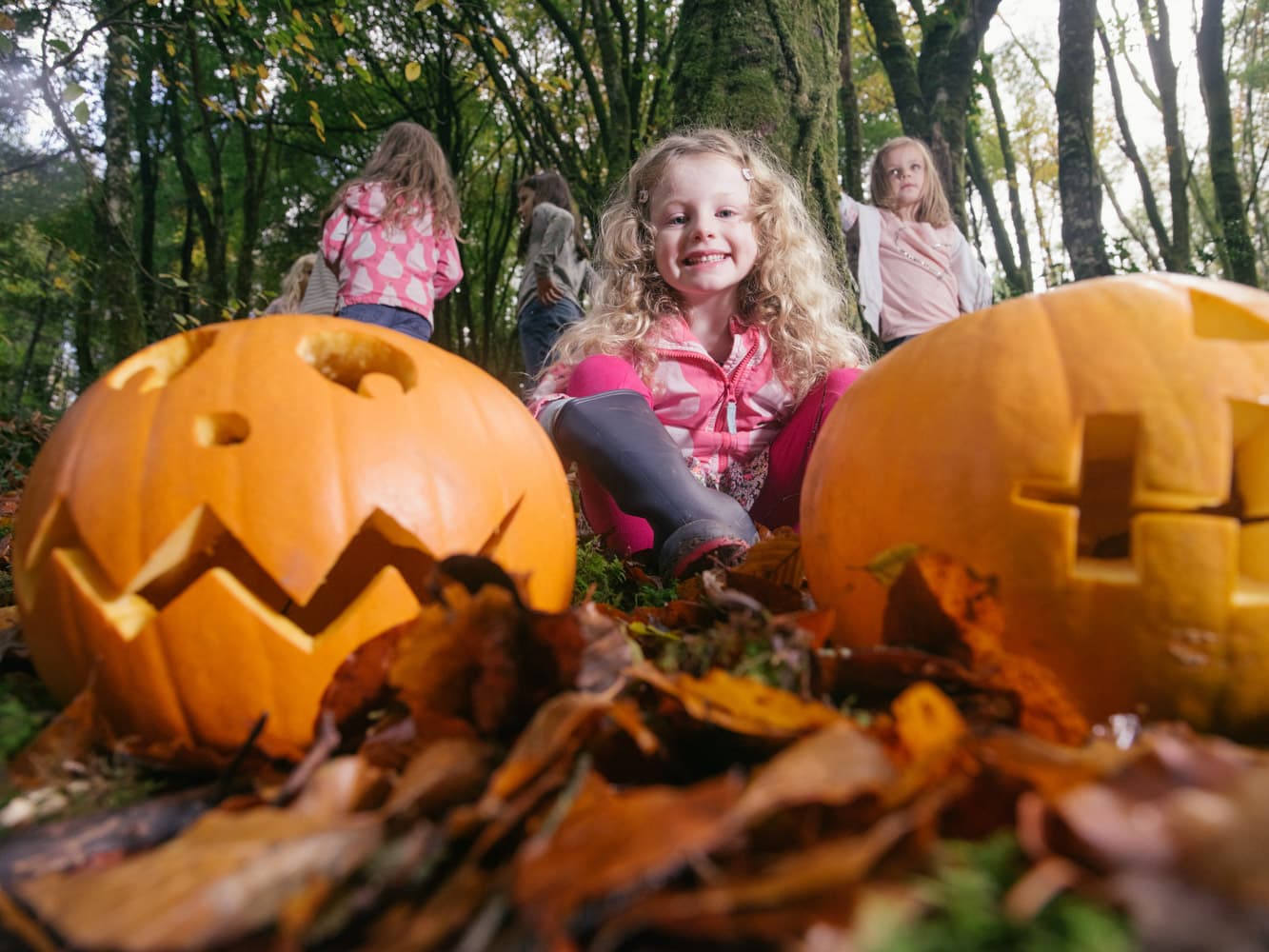 Pumpkin kids woods Bluestone
