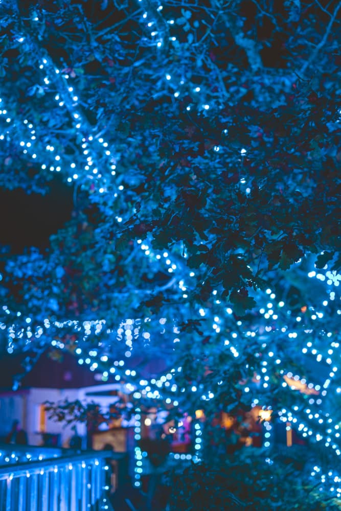 Wish Tree Lightshow Tree Lights