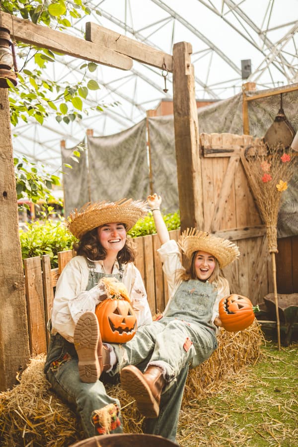 Entertainers with pumpkins Serendome Bluestone