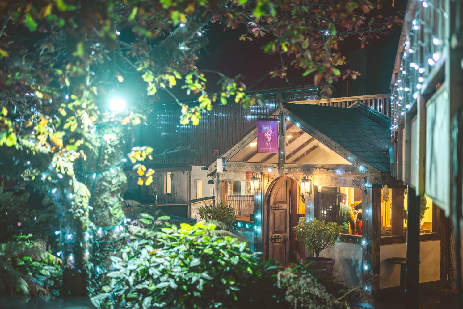 Wish Tree Lightshow Tafarn