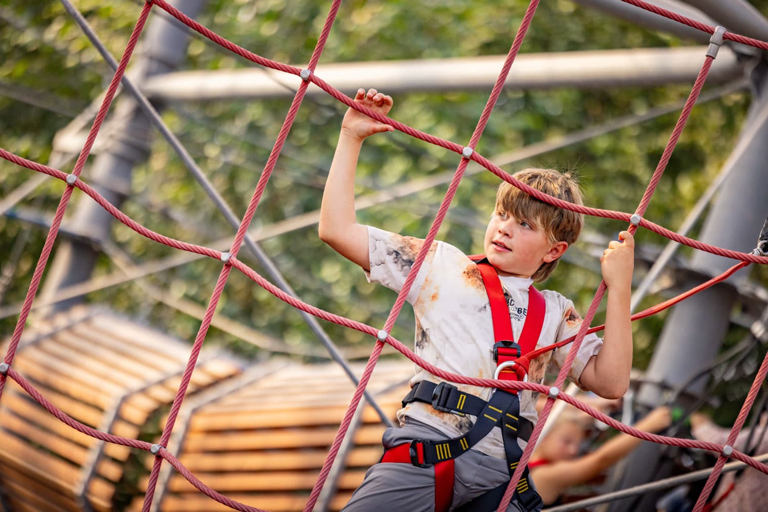 Boy on Skywalk in the Serendome Bluestone