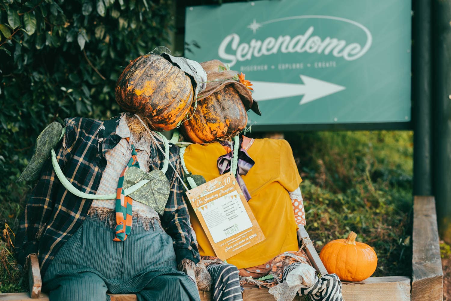 Scarecrow Hunt Bluestone
