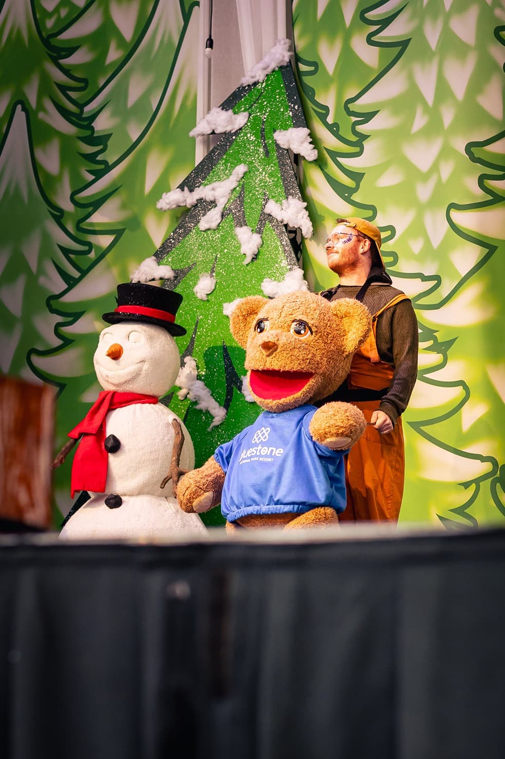 Teddy Blue at Christmas