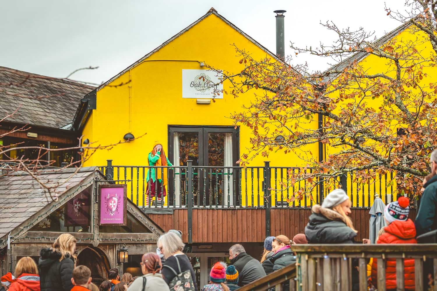 Christmas Countdown Elf On Terrace