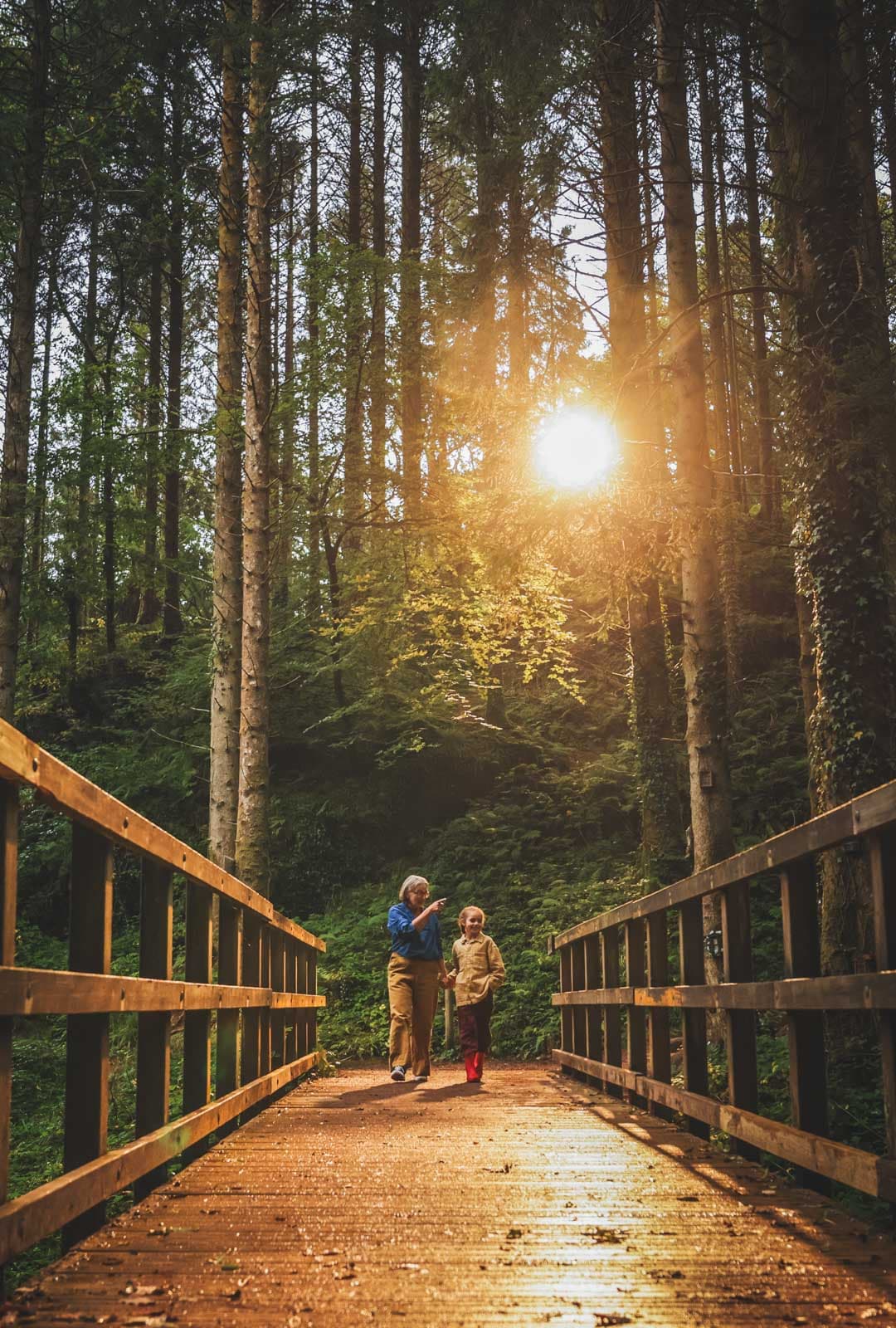 Child And Adult On Bridge In Woodland