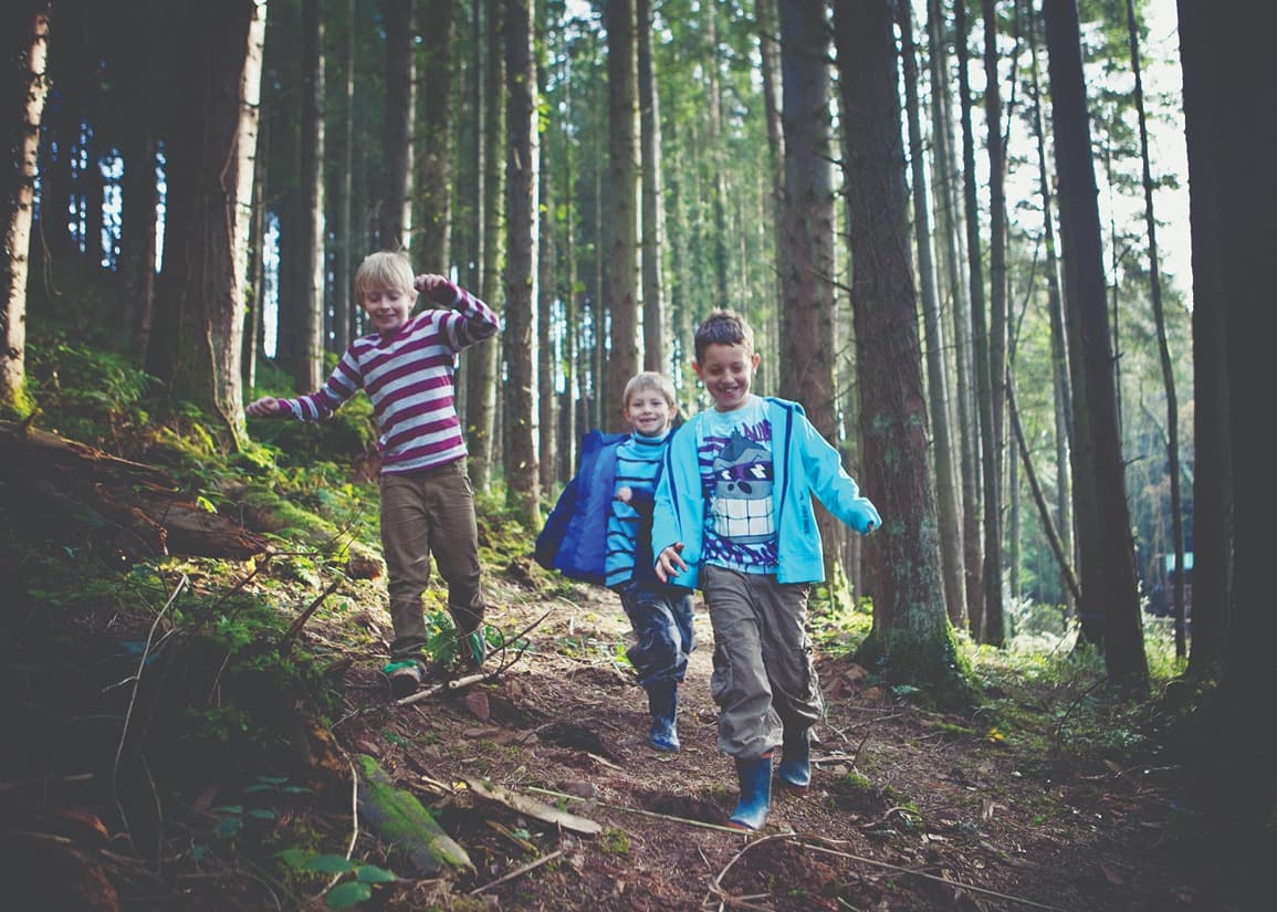 3 Boys In Woodland