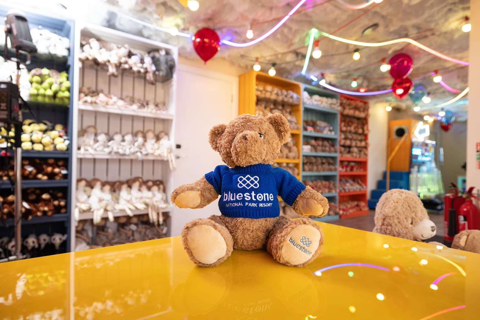 Bear Boutique Bear