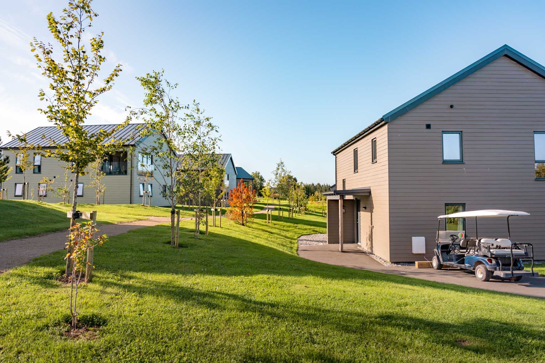 Platinum Lodge with tree and buggy