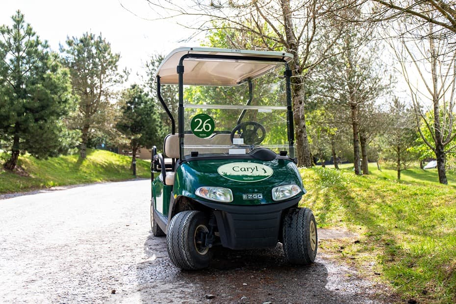 Buggy On Resort