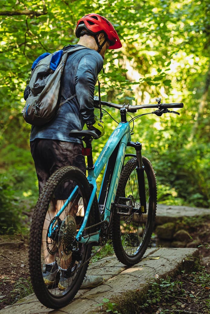 Electric Bike In Forrest